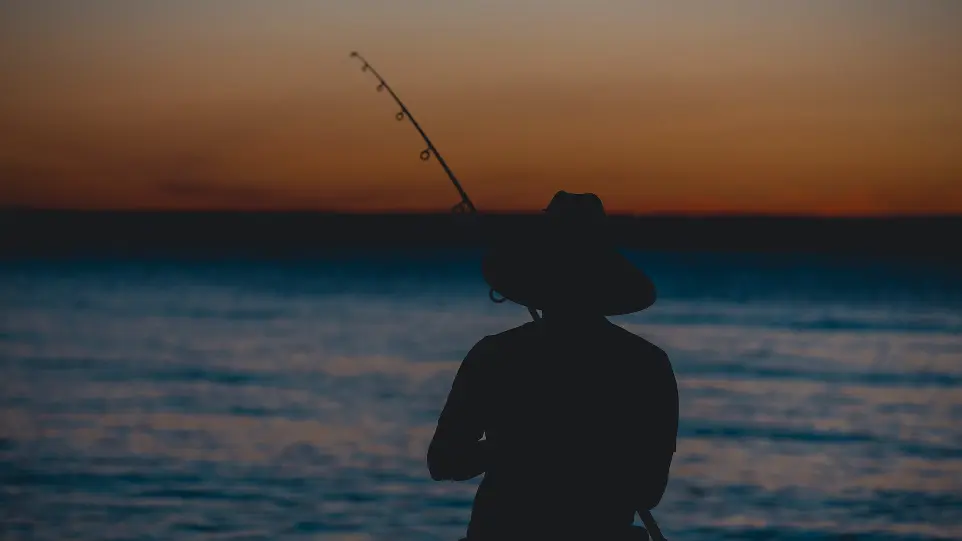 silhouette of person fishing